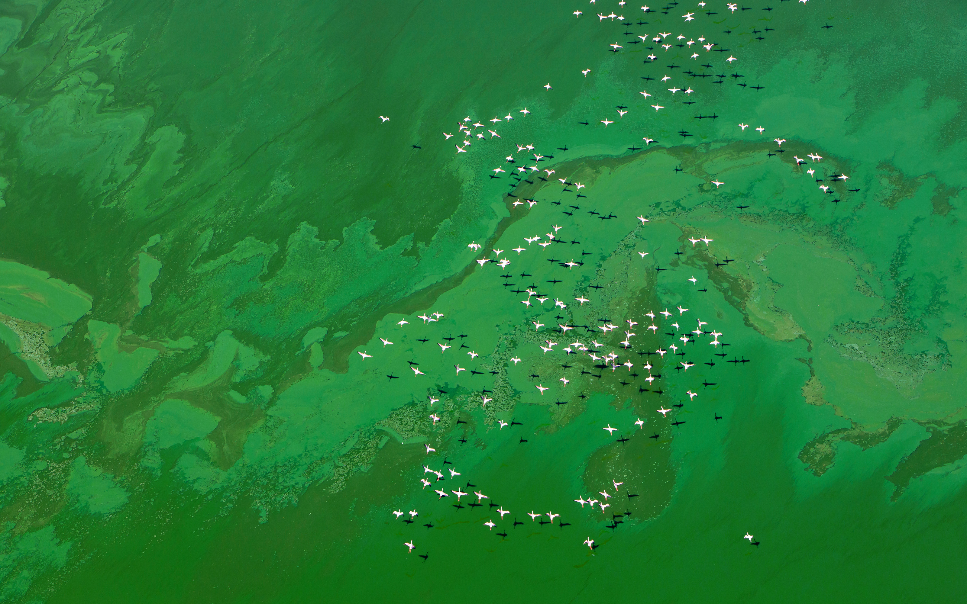Aerial01