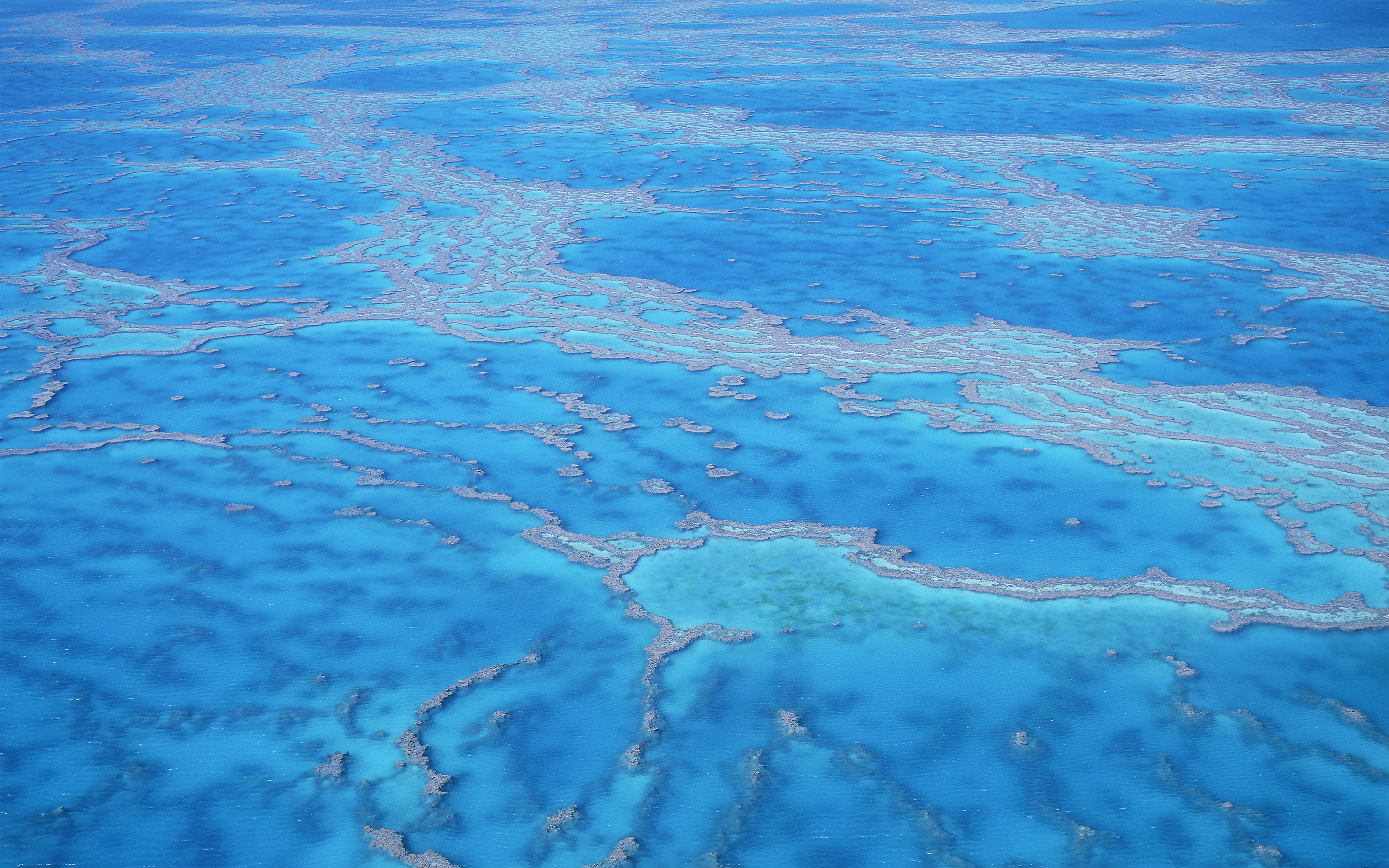 Aerial06