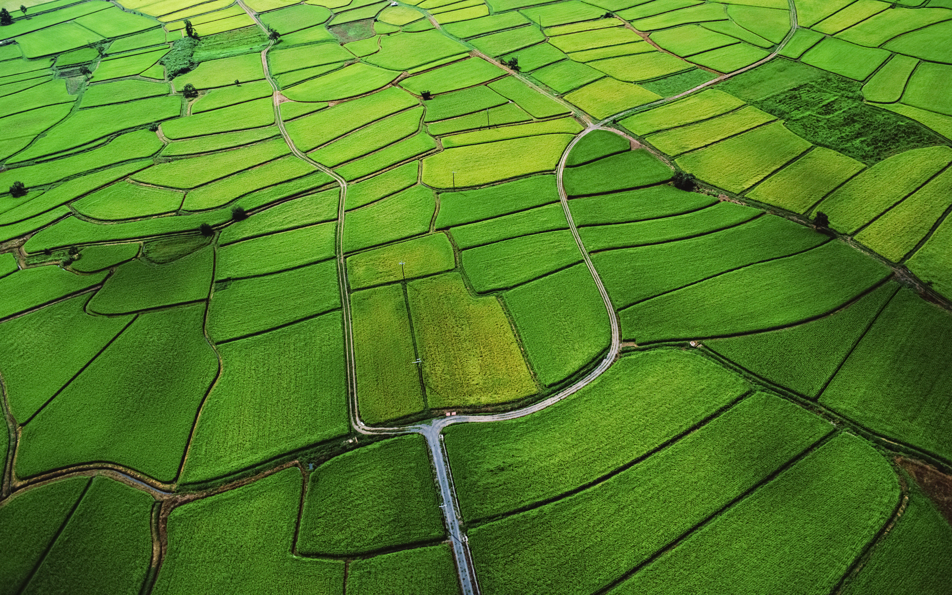 Aerial07