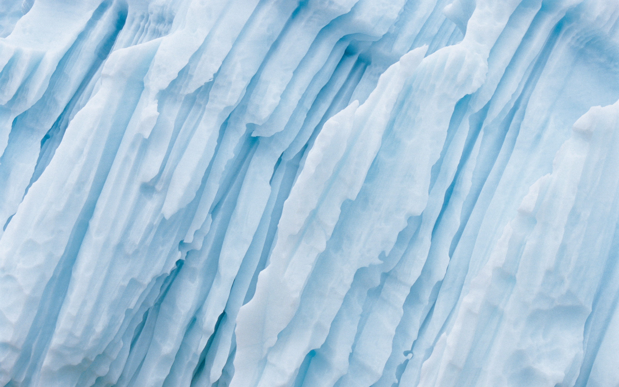 Iceberg