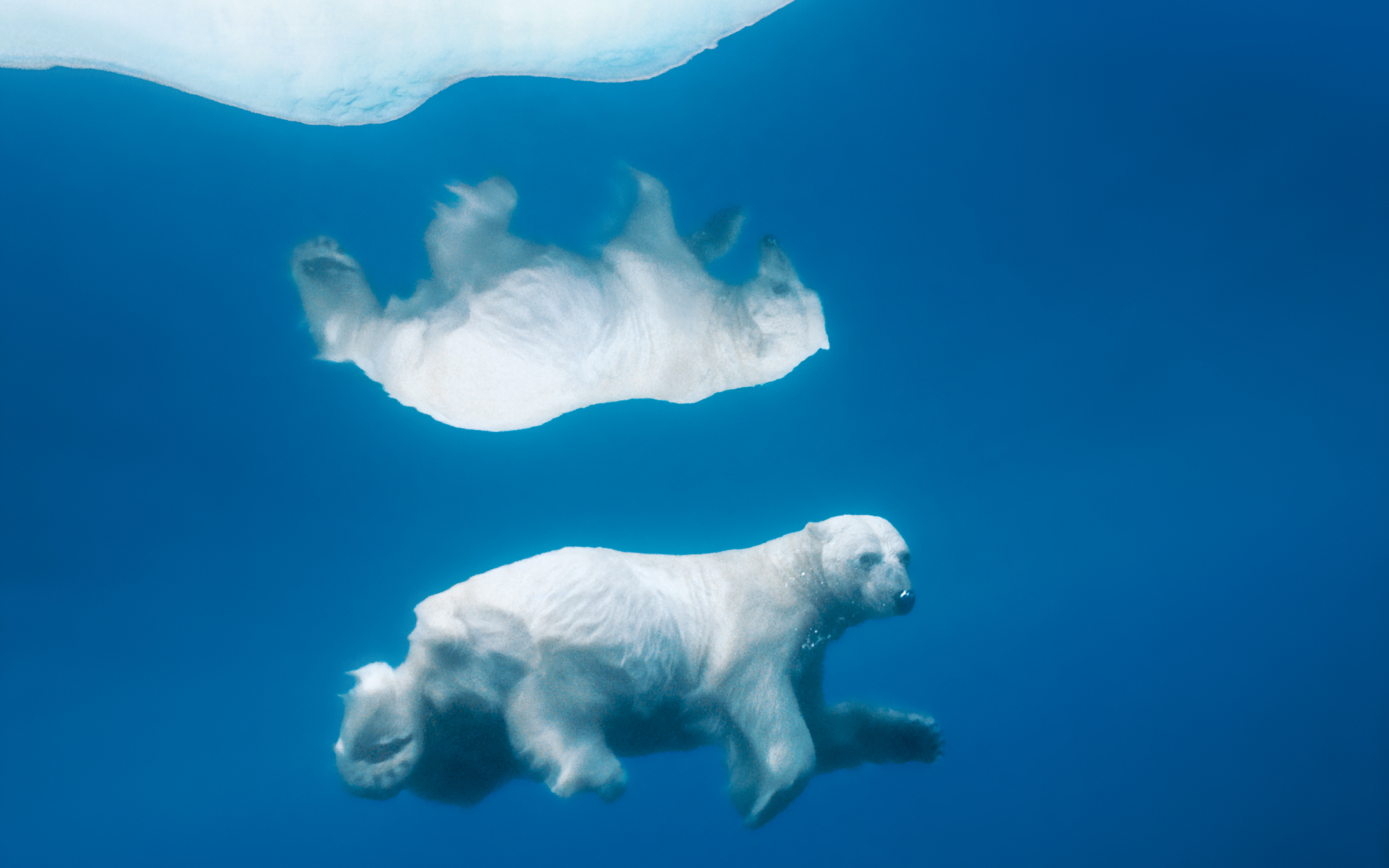 NatGeo02