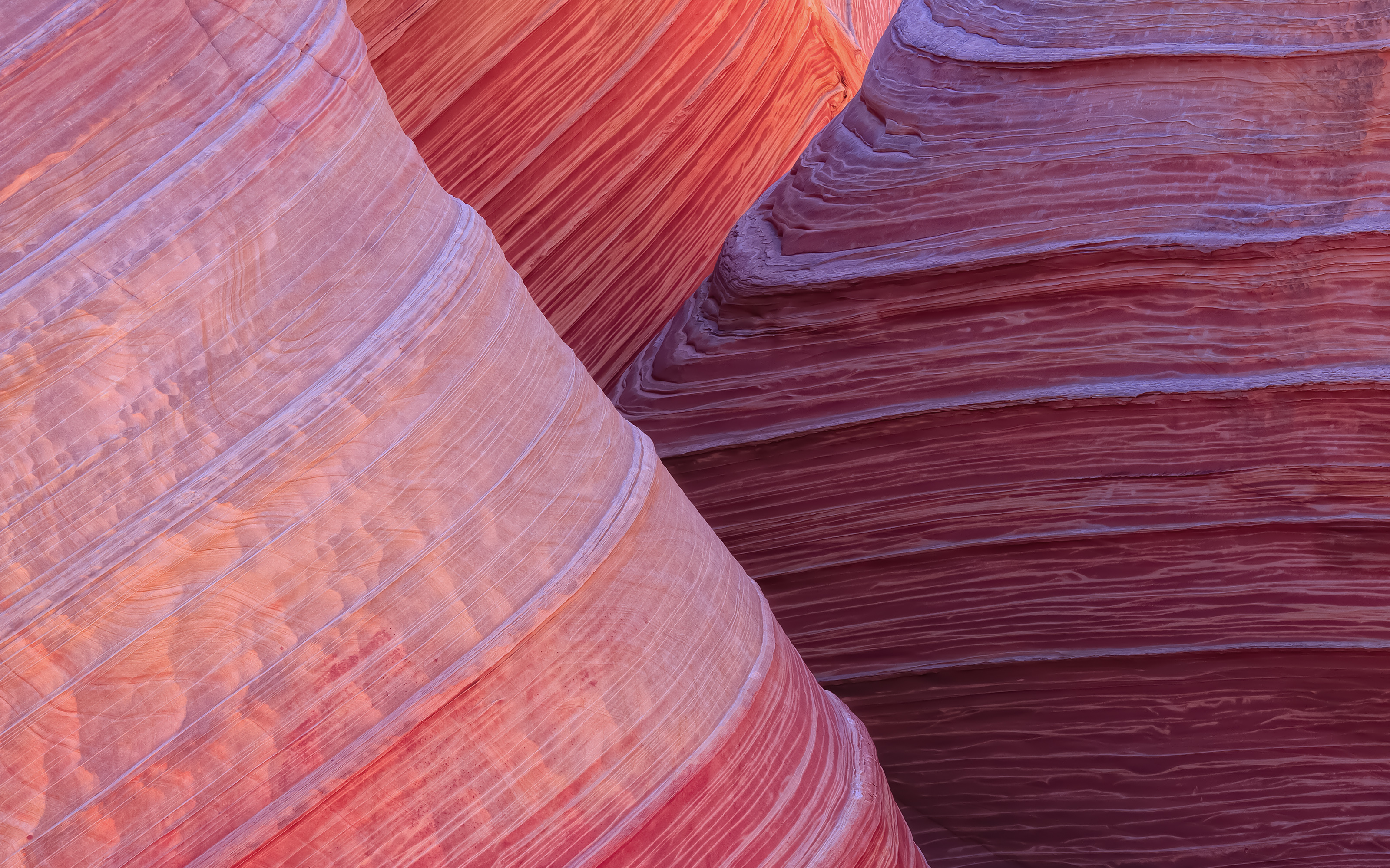 NaturePatterns05