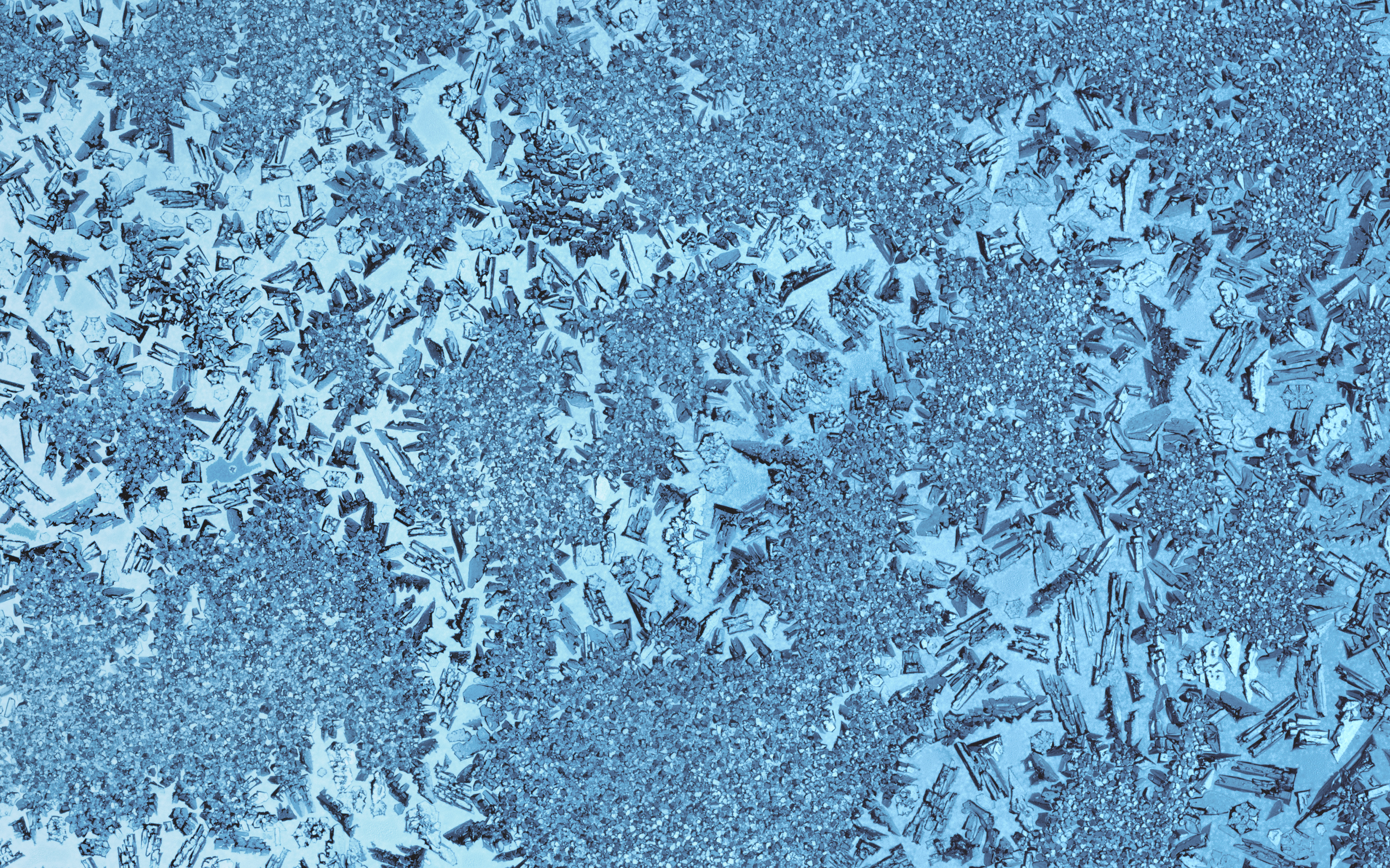 NaturePatterns06