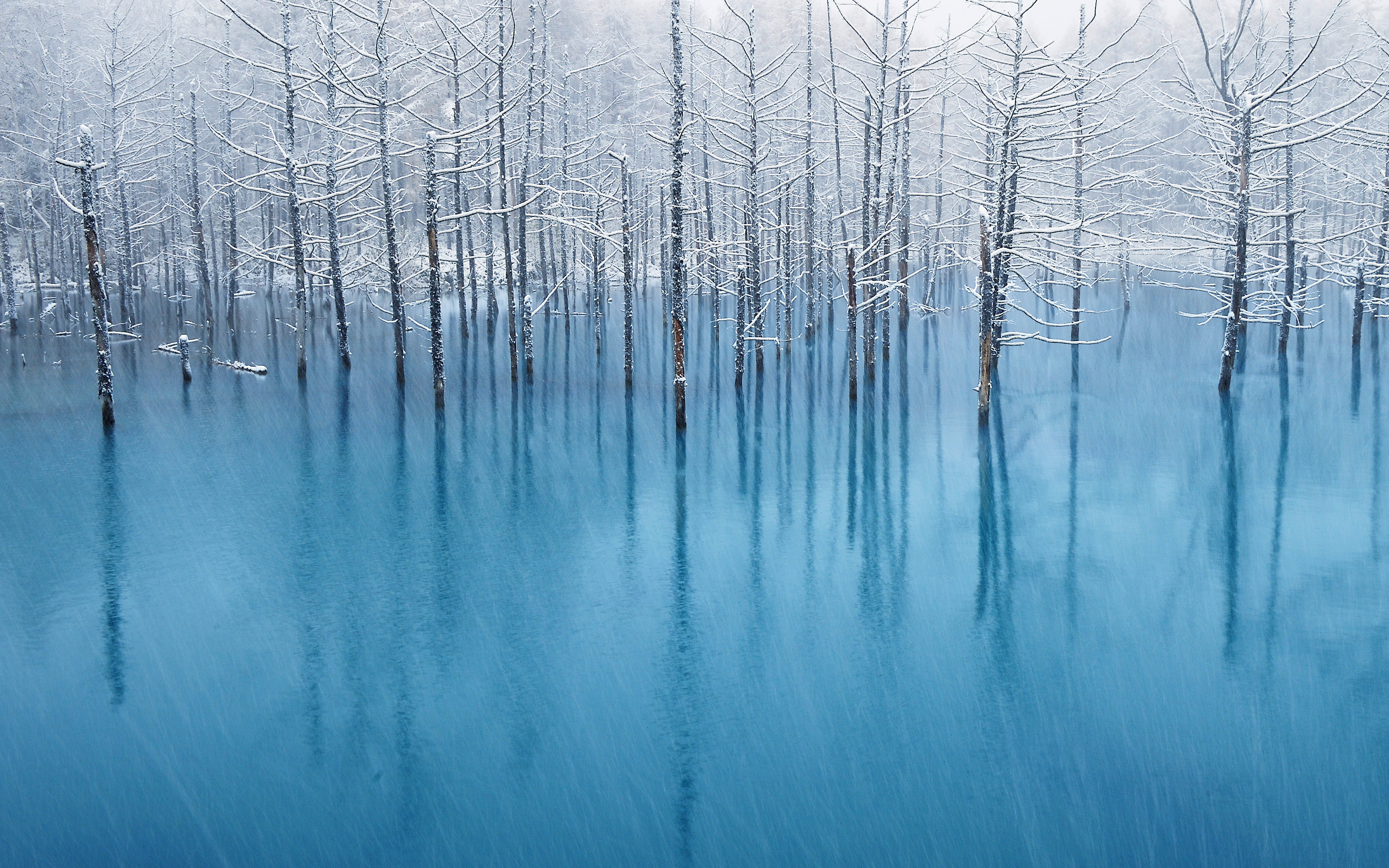 NaturePatterns08
