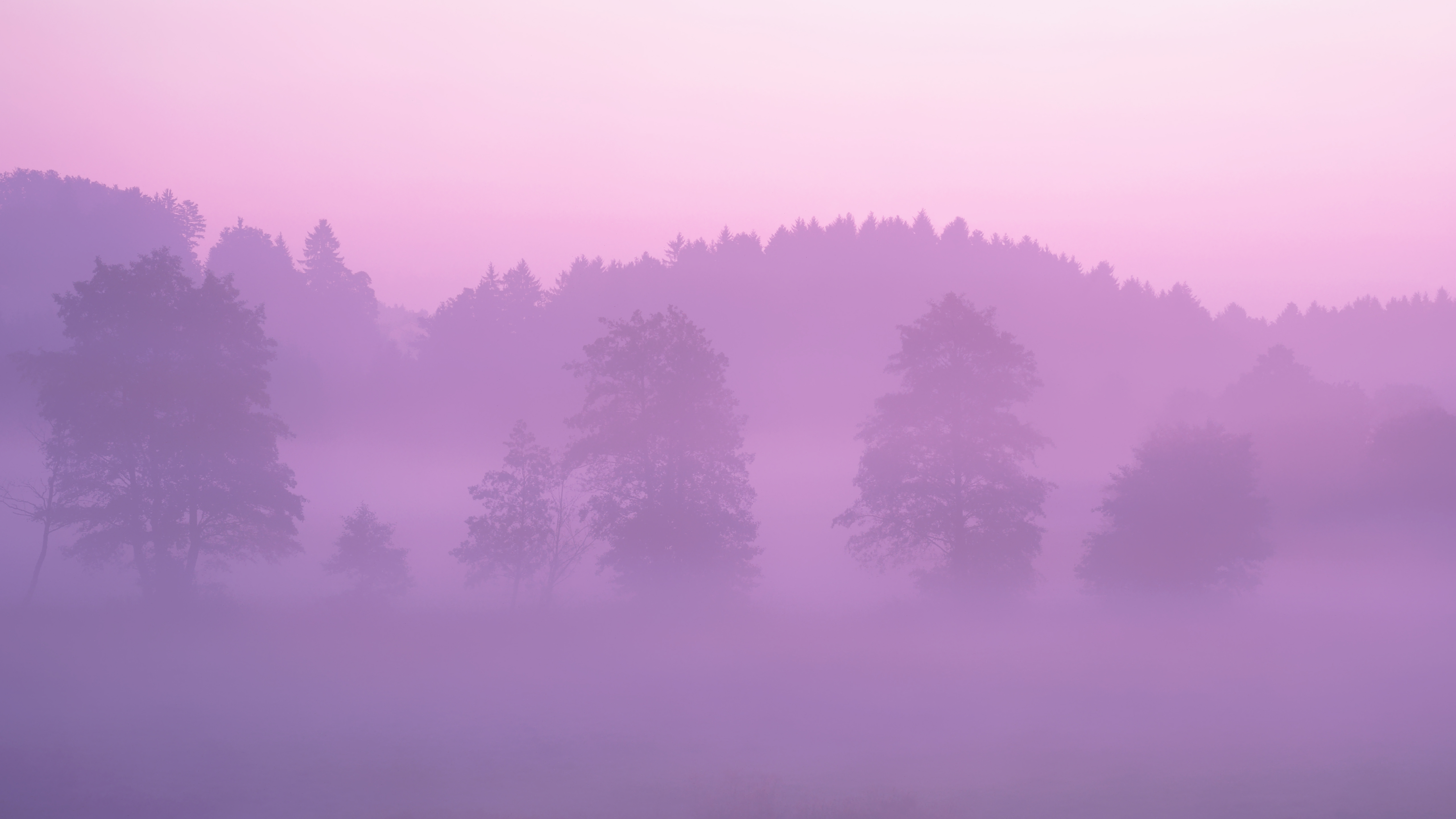 Pink Forest