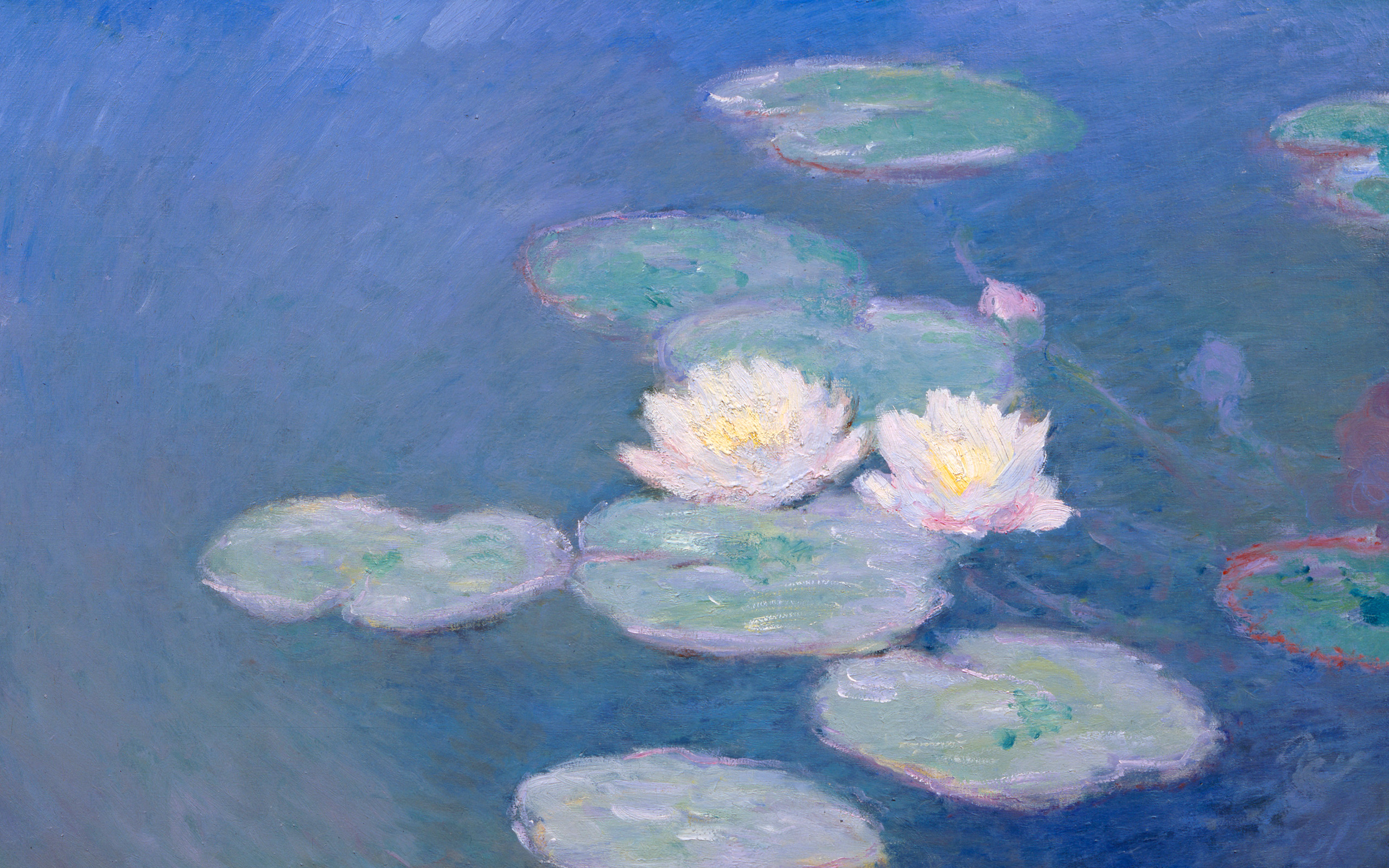 Waterlilies