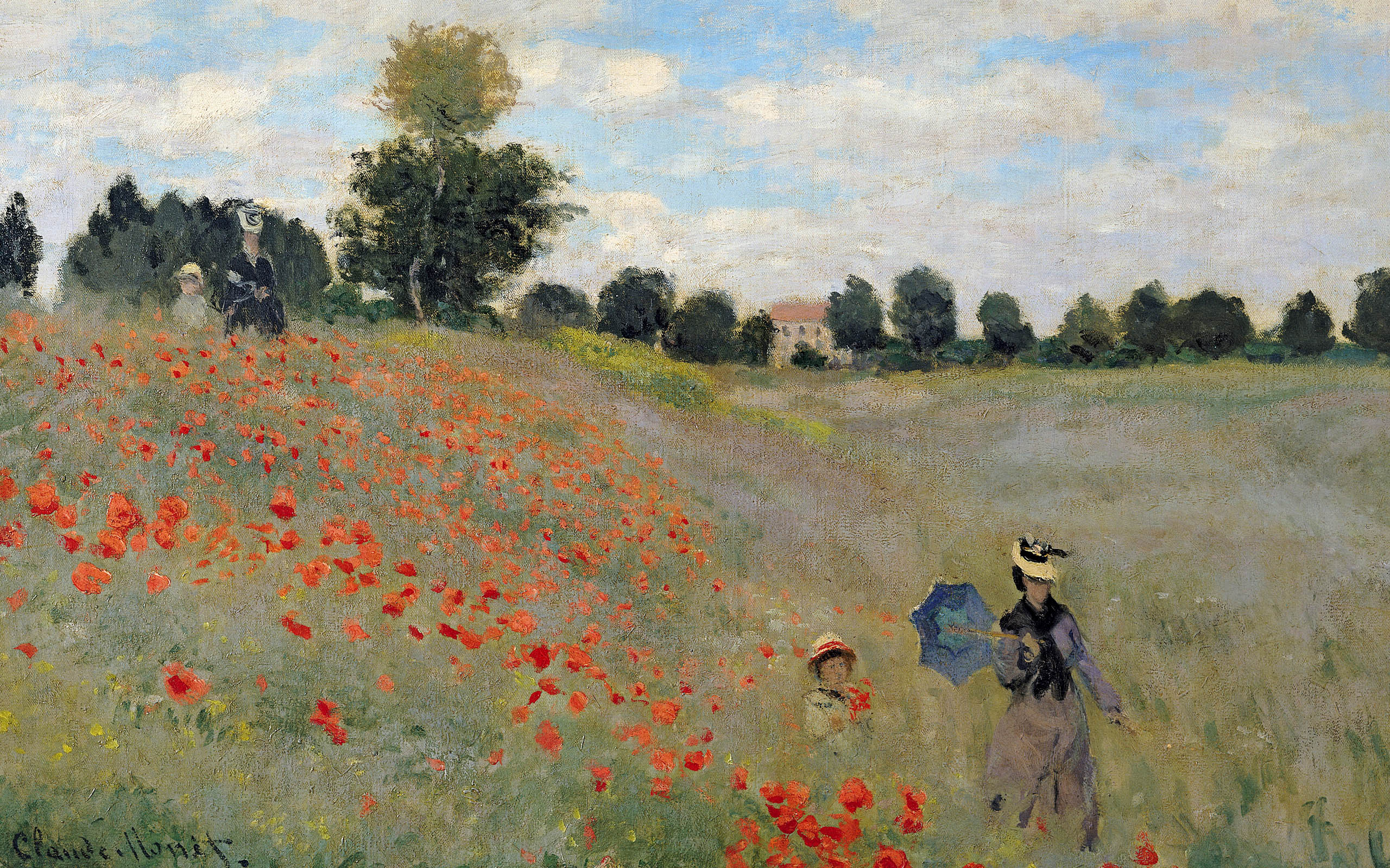 Wild-Poppies